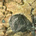 Silver (Isolated Crystals on Copper) - image 3