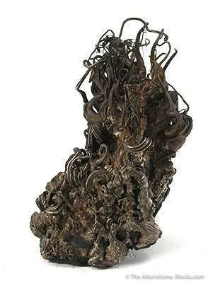 Silver Medusa - image 2