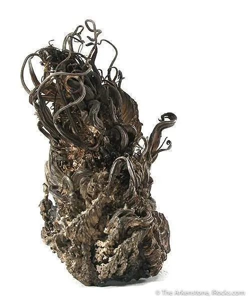 Silver Medusa - image 1