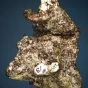 Silver on Copper - image 4