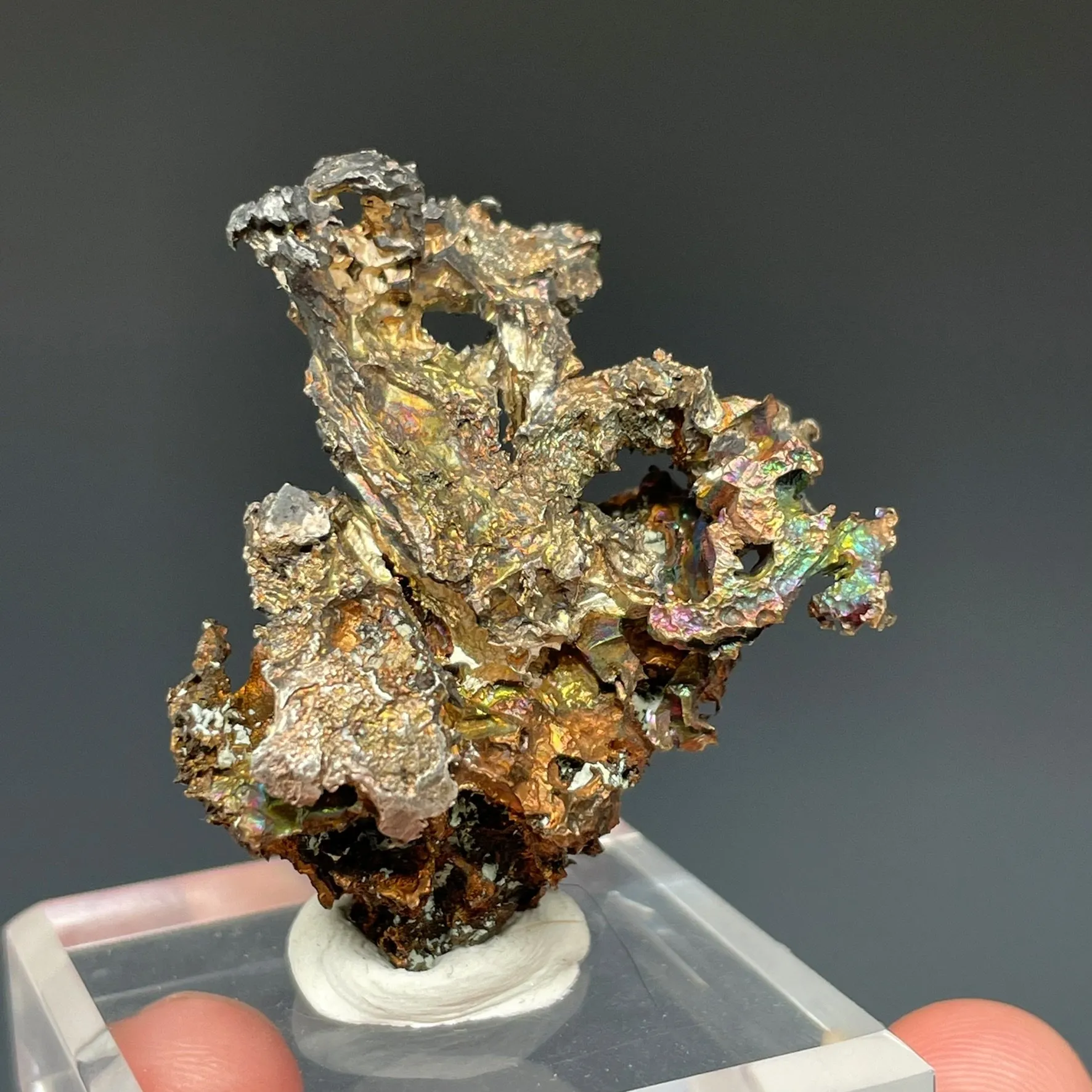 Silver on Copper “Half Breed” - image 2