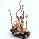 Silver on matrix - image 3