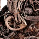 Silver on matrix - image 4