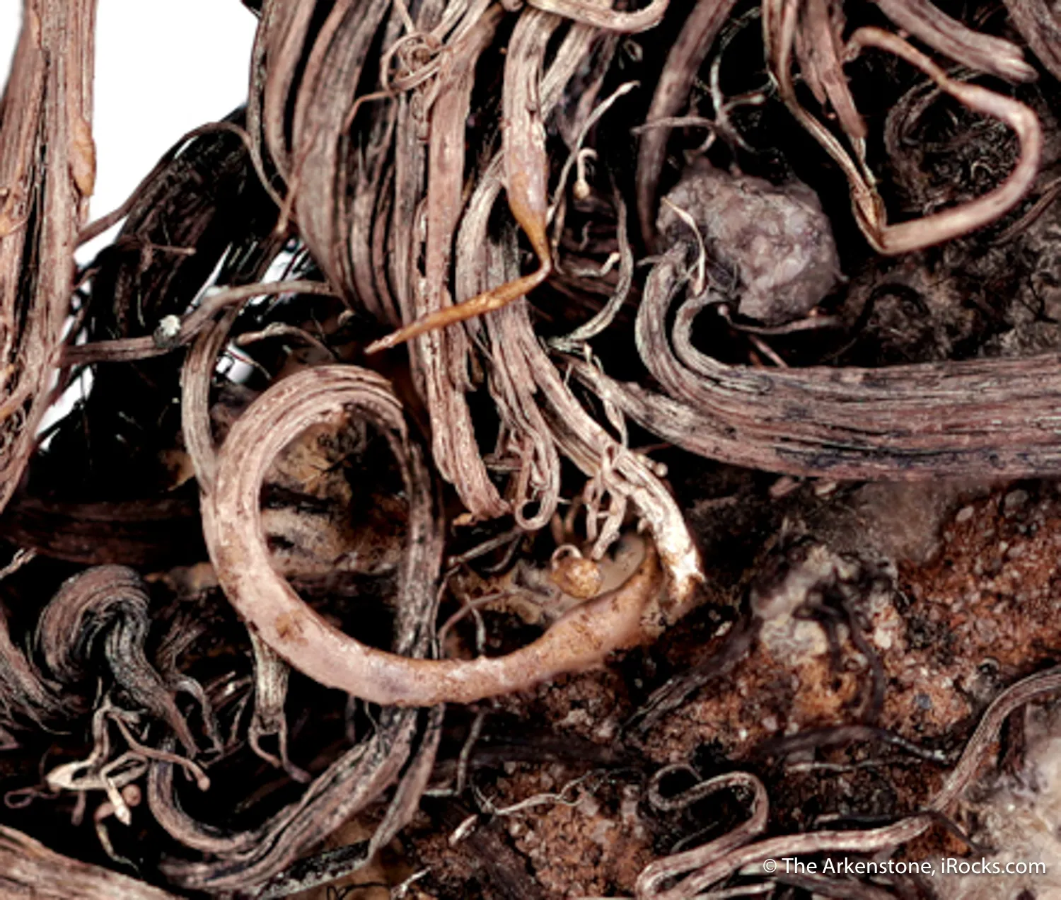 Silver on matrix - image 4