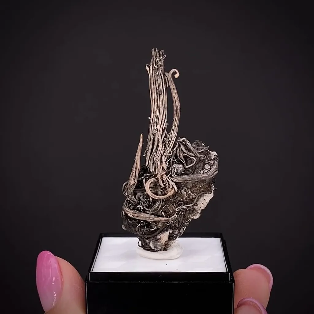 Silver on matrix image