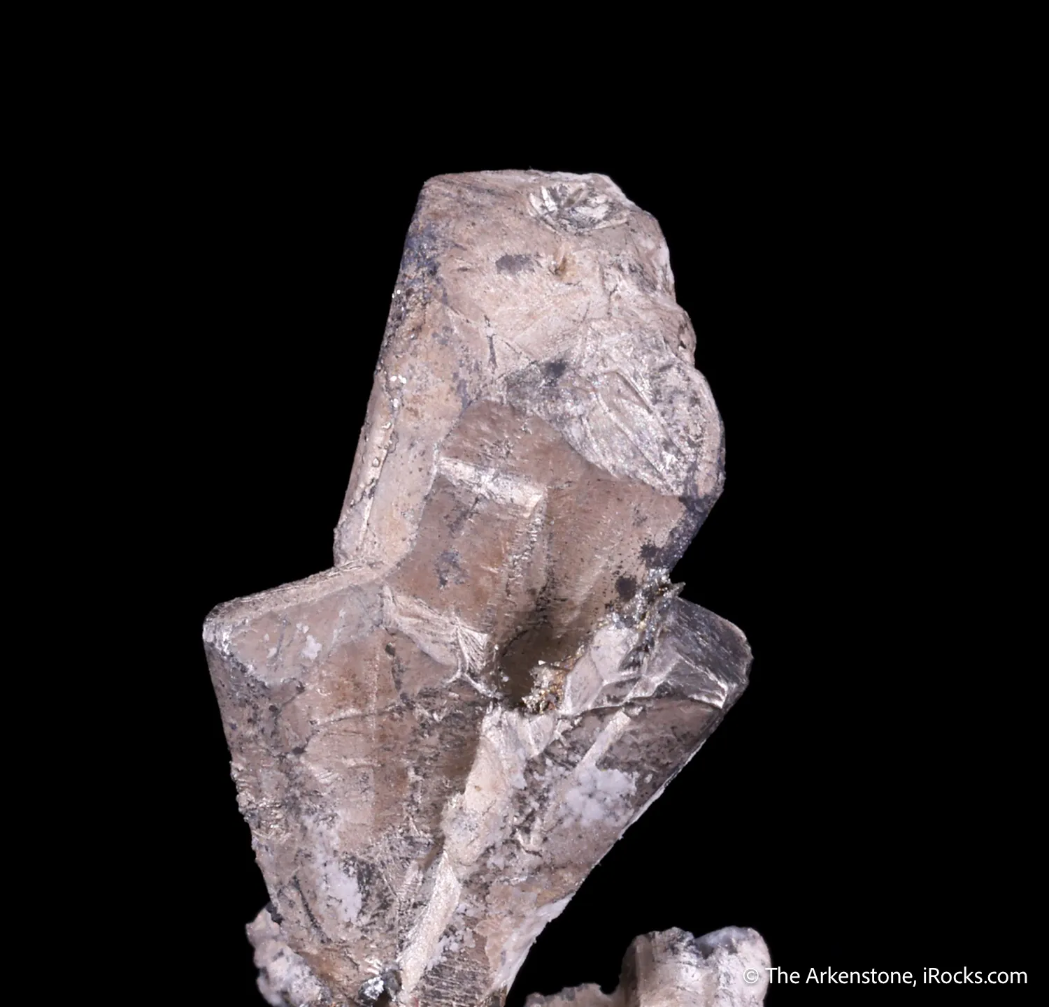 Silver ps. Dyscrasite - image 4