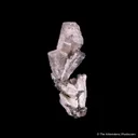 Silver ps. Dyscrasite - image 1