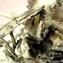 Silver Pseudo. After Dyscrasite - image 2
