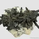 Silver pseudo. after Dyscrasite - image 5