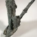 Silver Pseudo. After Dyscrasite - image 1