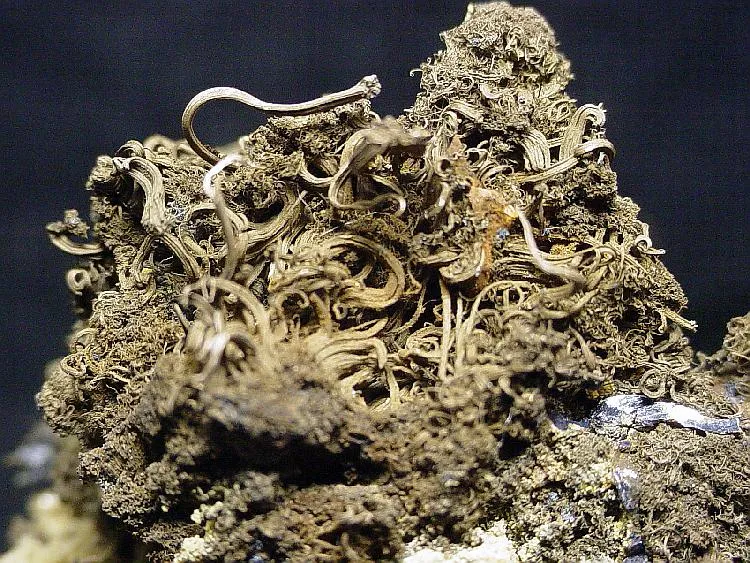 Silver, Siderite, Galena image