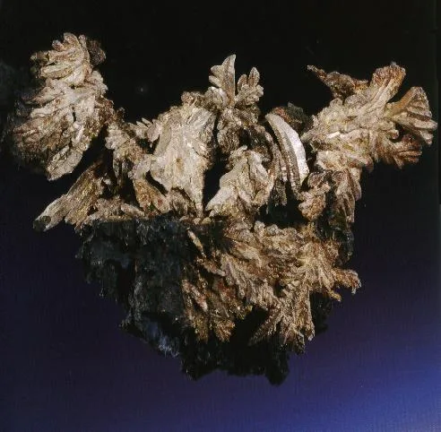 Silver image