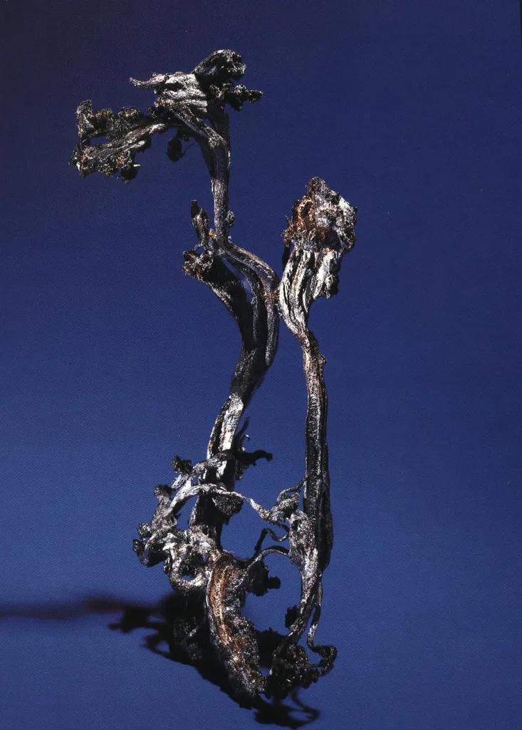 Silver image