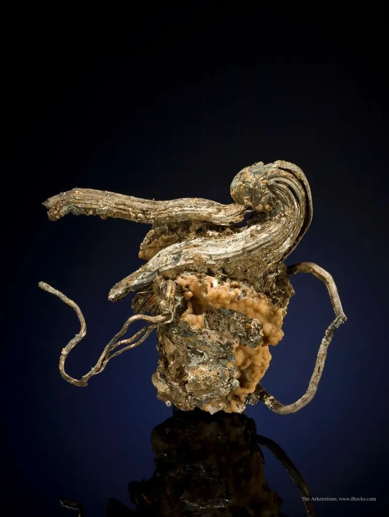 Silver "The Pelican" image