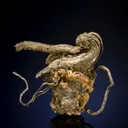 Silver "The Pelican" - image 1
