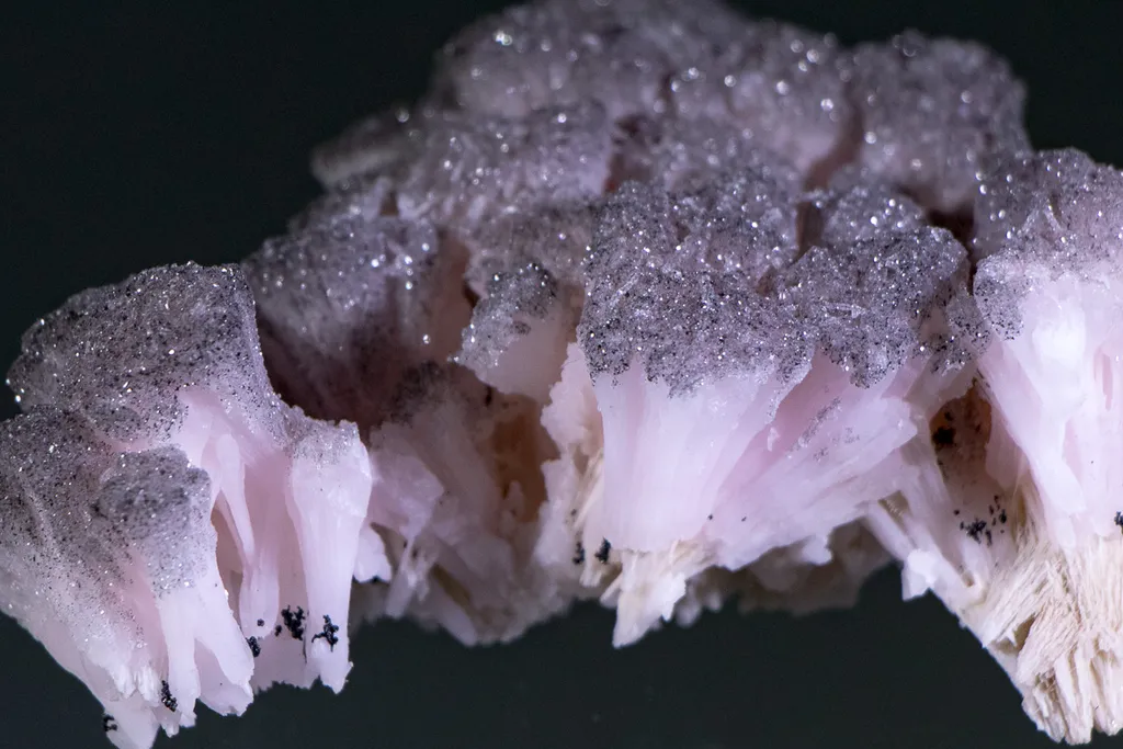 Silver Tipped Manganoan Calcite Branches - image 3