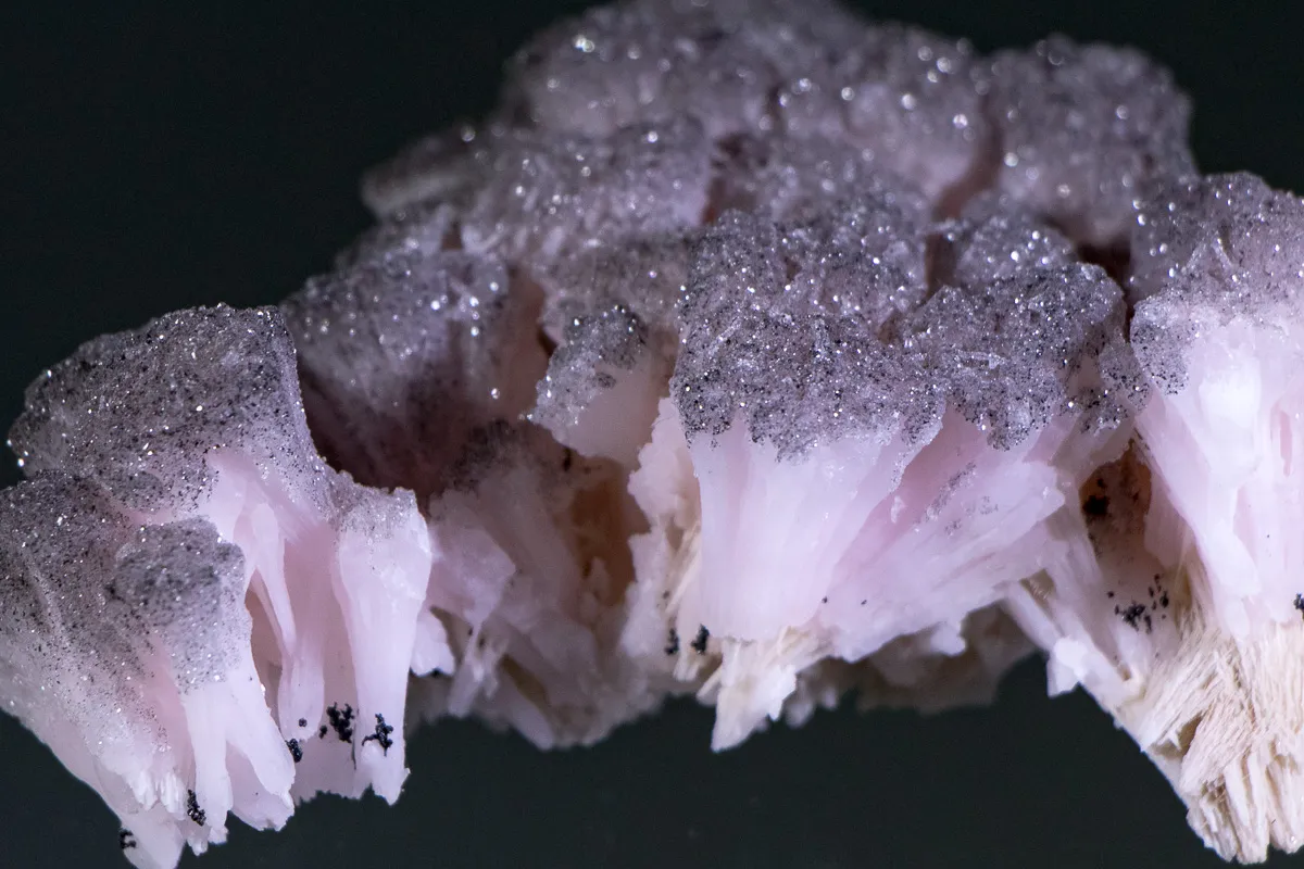 Silver Tipped Manganoan Calcite Branches - image 3