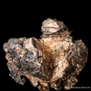 Silver (twinned crystal on matrix) - image 6