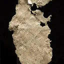 Silver (Var: Kongsbergite) - image 1