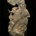 Silver (Var: Kongsbergite) - image 2