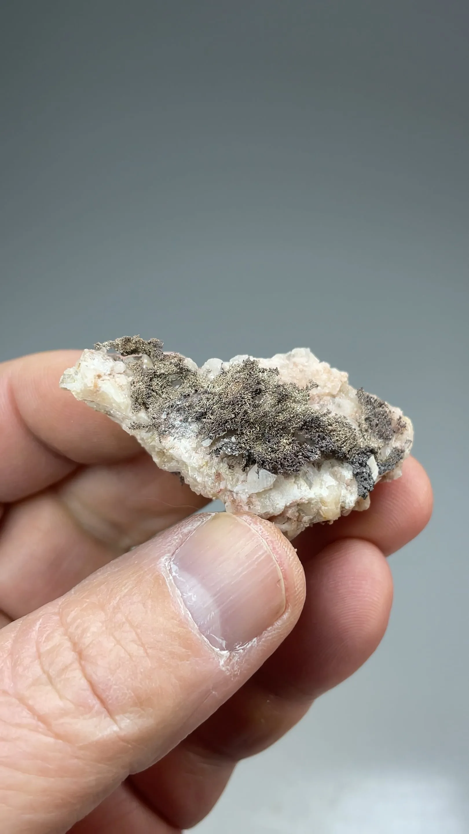 Silver var Kongsbergite with Chlorargyrite - image 2