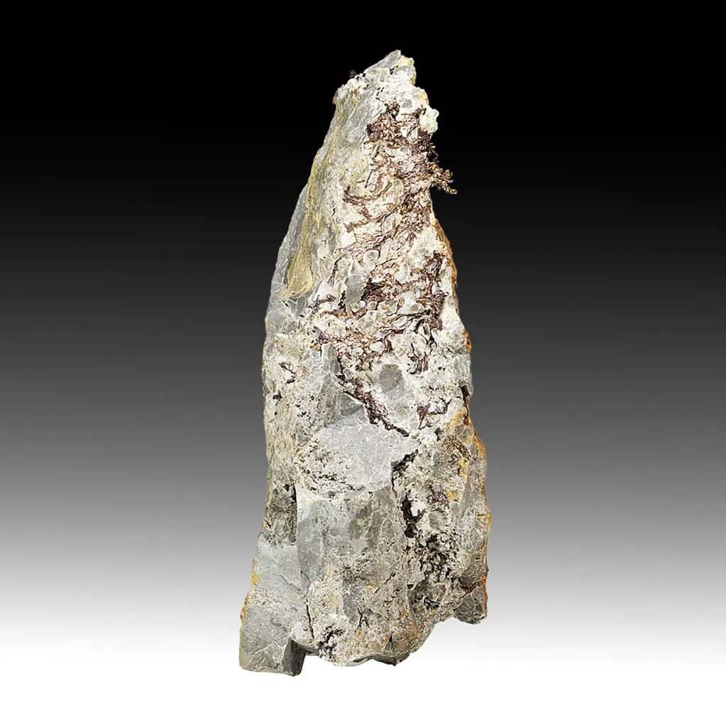 Silver var Kongsbergite with Chlorargyrite image