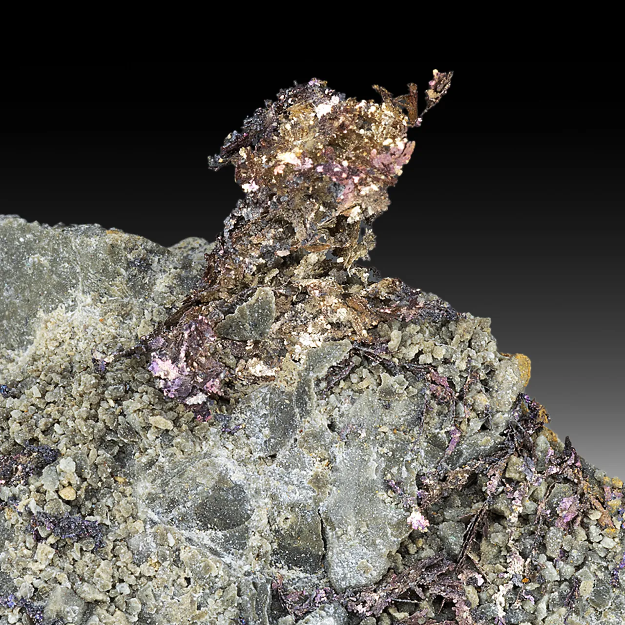 Silver var Kongsbergite with Chlorargyrite - image 1