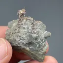 Silver var Kongsbergite with Chlorargyrite - image 2