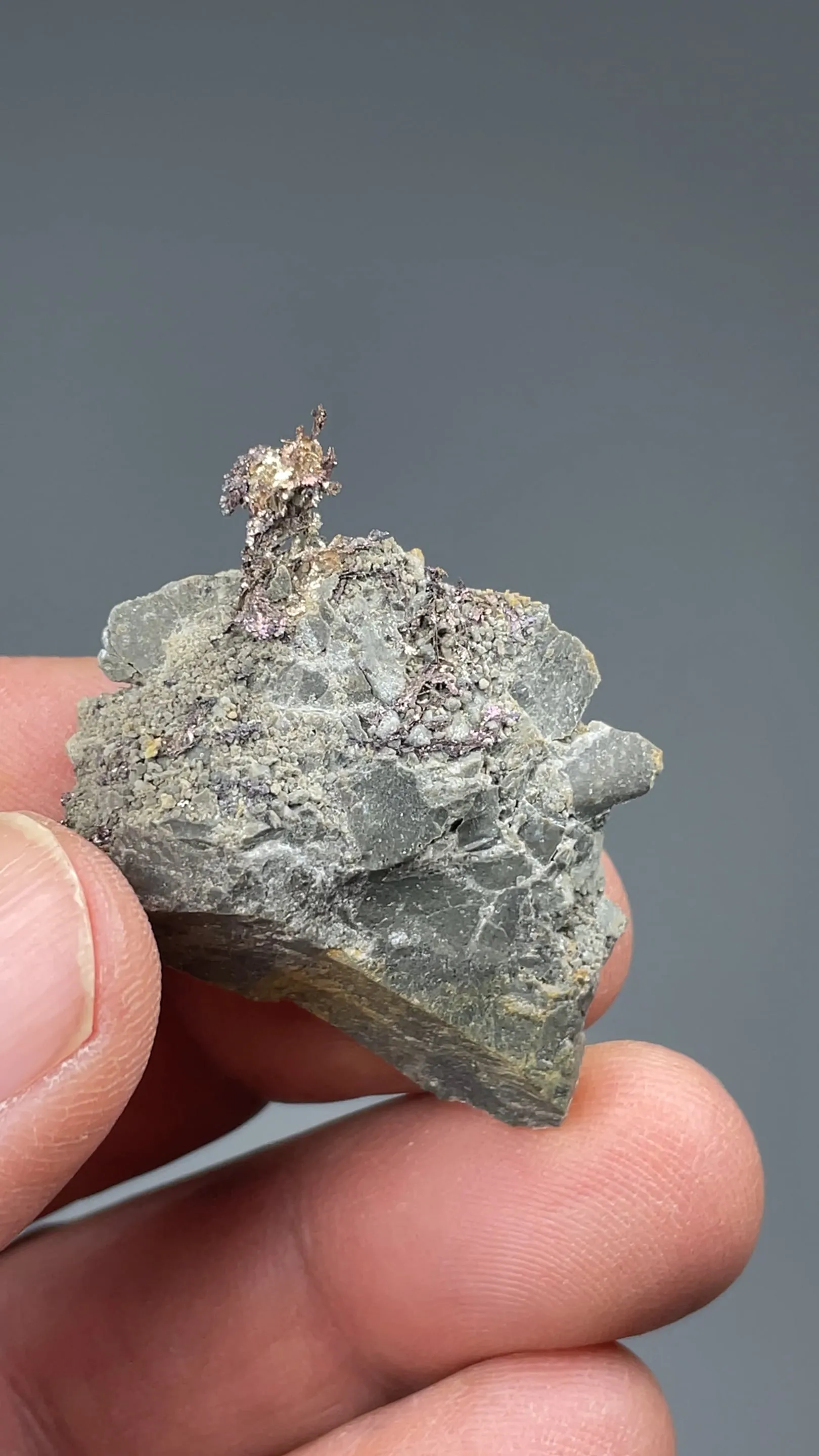 Silver var Kongsbergite with Chlorargyrite - image 2