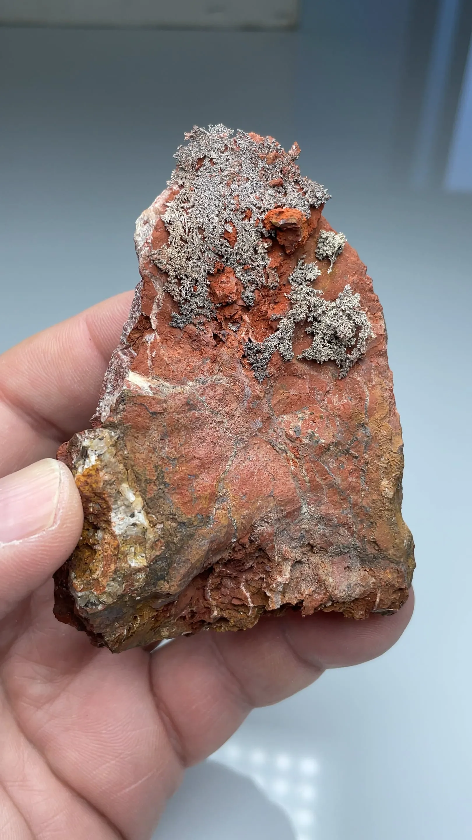 Silver var Kongsbergite with Chlorargyrite - image 2