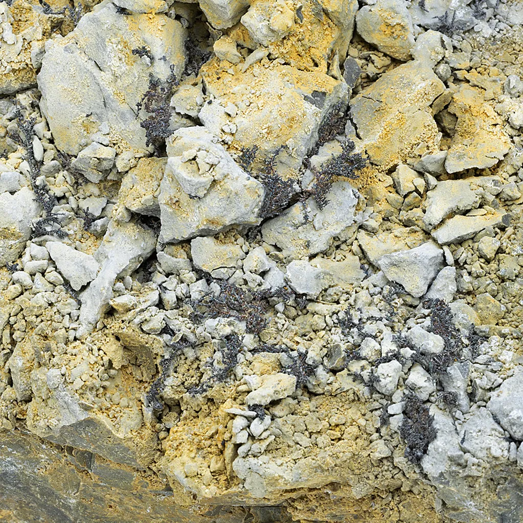 Silver var Kongsbergite with Chlorargyrite image