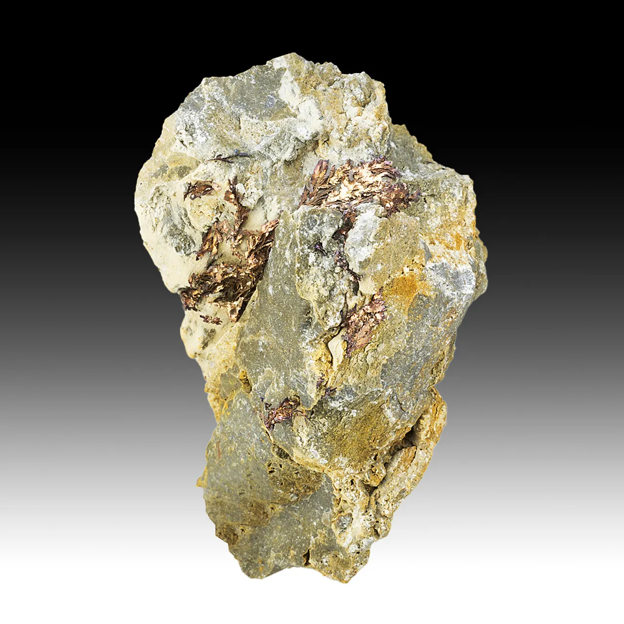 Silver var Kongsbergite with Chlorargyrite - image 1