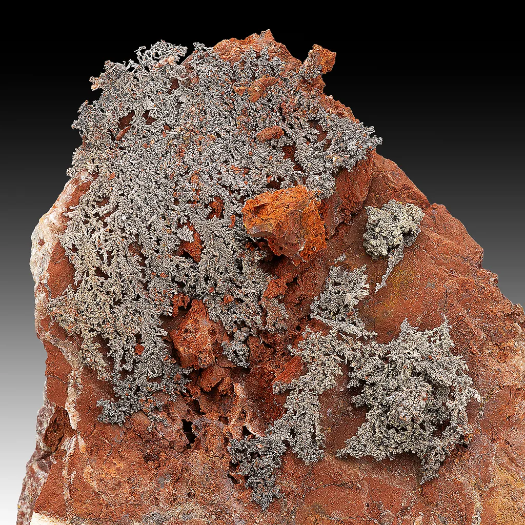 Silver var Kongsbergite with Chlorargyrite image