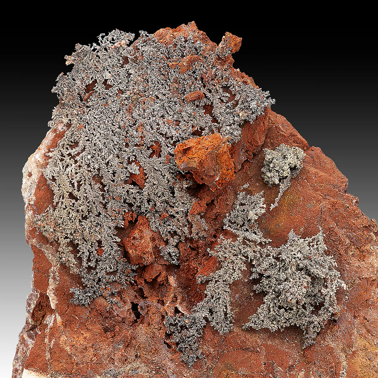 Silver var Kongsbergite with Chlorargyrite - image 1