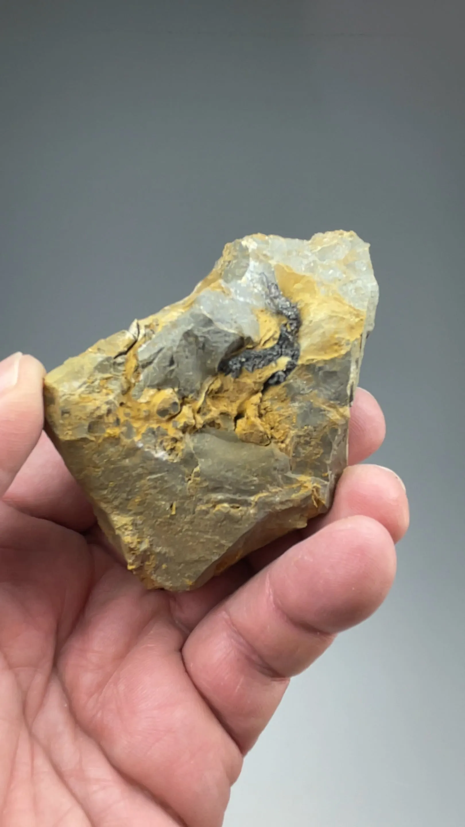 Silver var Kongsbergite with Chlorargyrite - image 2