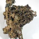 Silver Wire With Acanthite - image 3