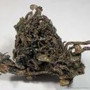Silver Wire With Acanthite - image 2