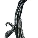Silver With Acanthite - image 4