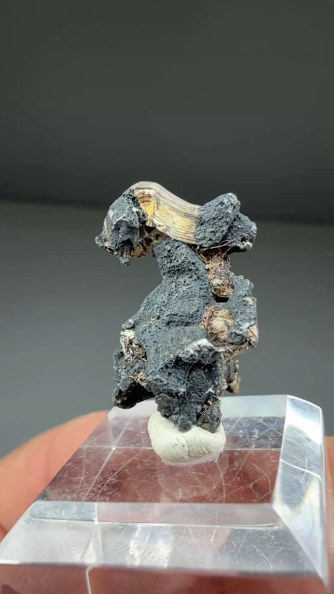 Silver with Acanthite - image 2