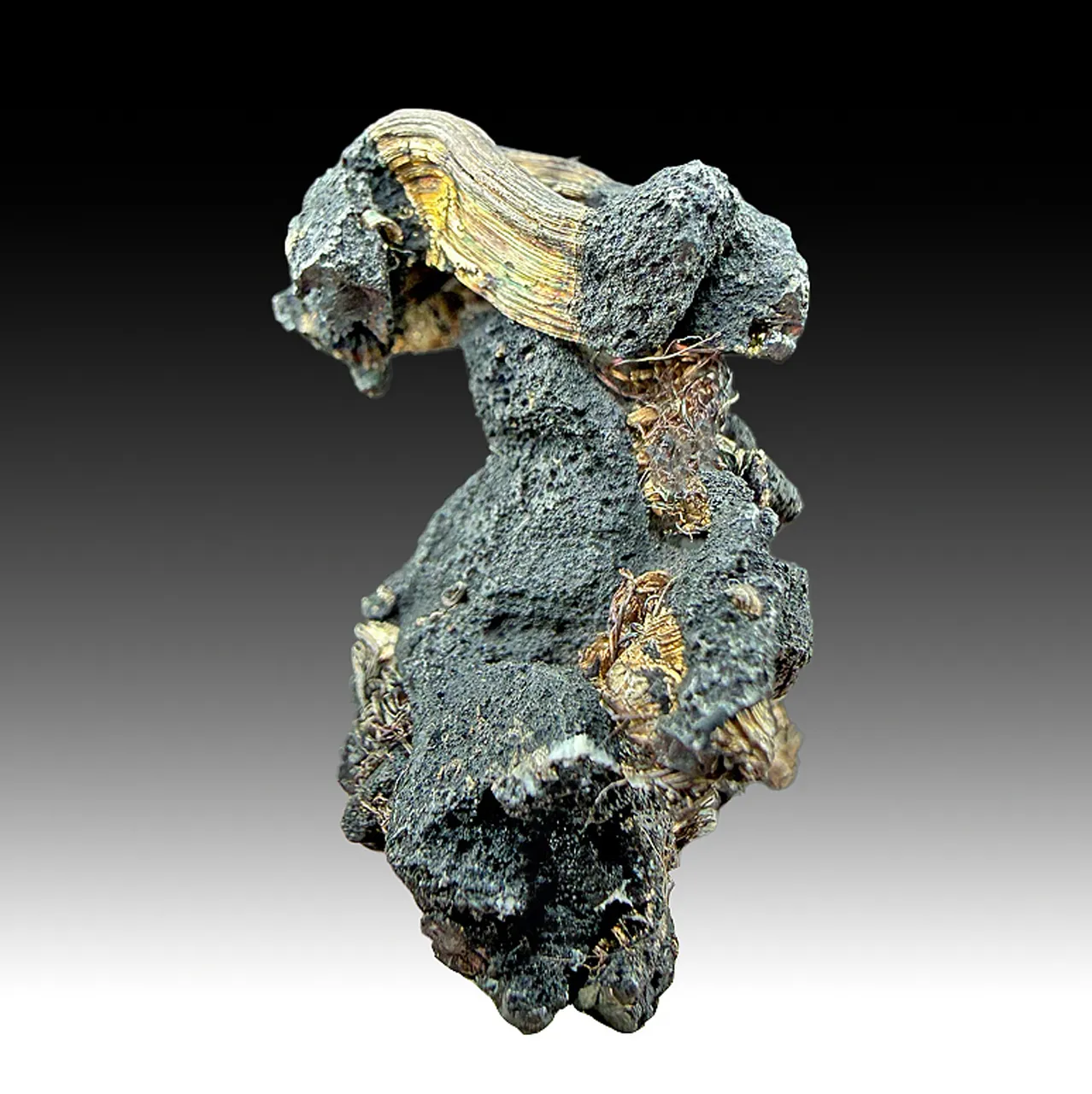 Silver with Acanthite - image 1