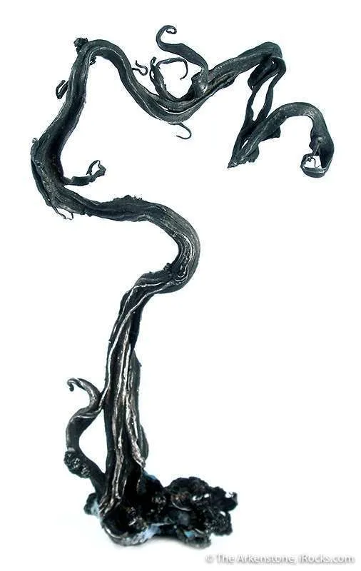 Silver With Acanthite image