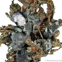 Silver With Acanthite Crystals - image 3