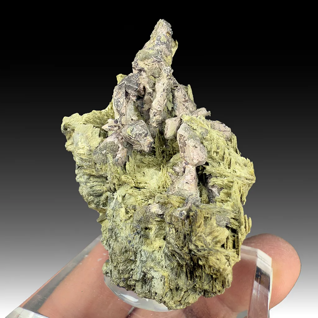 Silver with Actinolite image