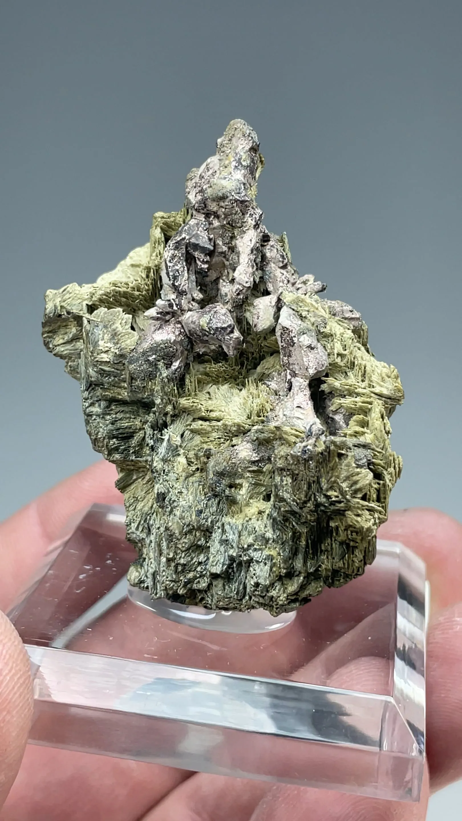 Silver with Actinolite - image 2