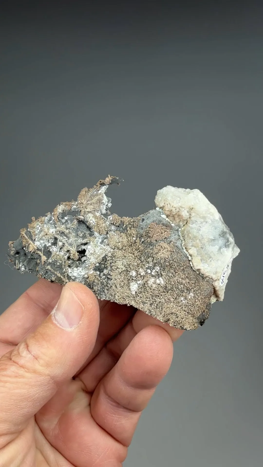 Silver with Arsenic - image 2