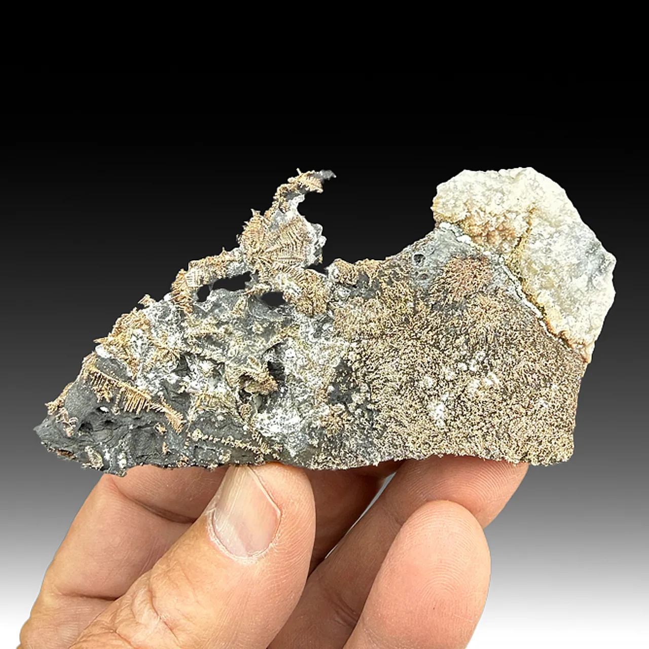 Silver with Arsenic - image 1