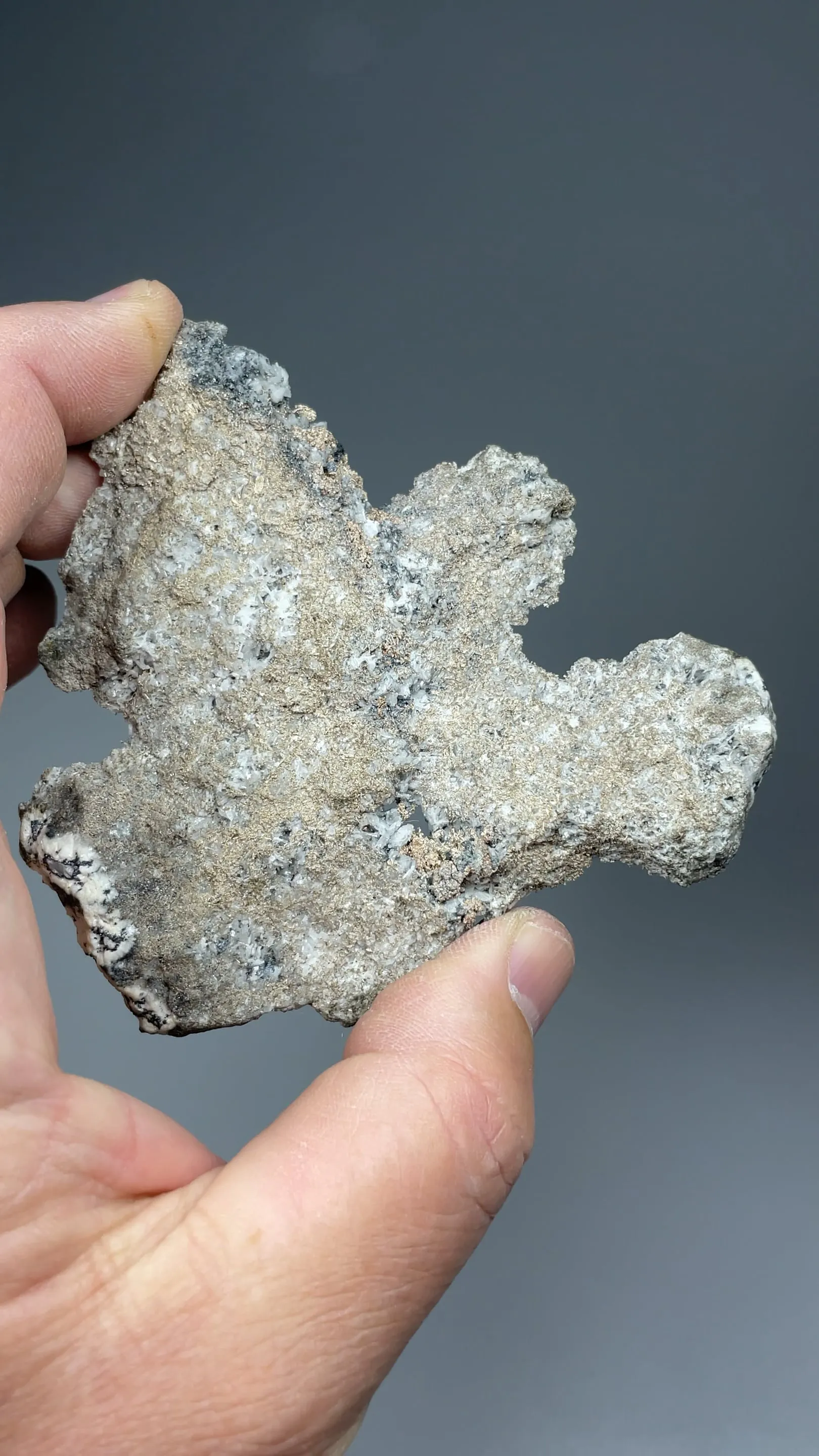 Silver with Barite, Acanthite (5.9 troy oz. Ag) - image 2