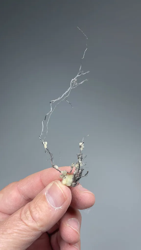Silver with Calcite - image 2
