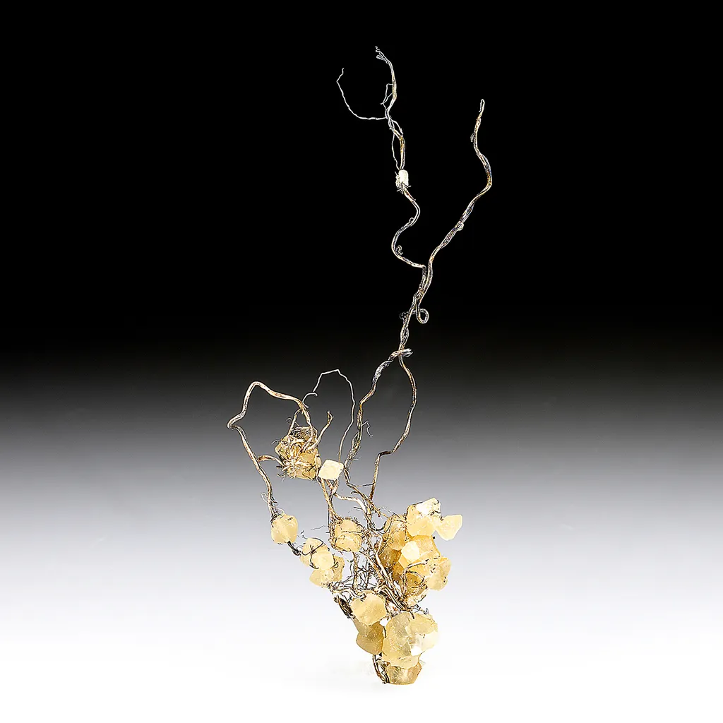 Silver with Calcite image