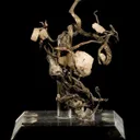 Silver With Calcite - image 2